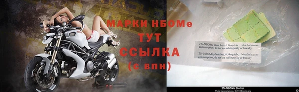 крисы Белоозёрский