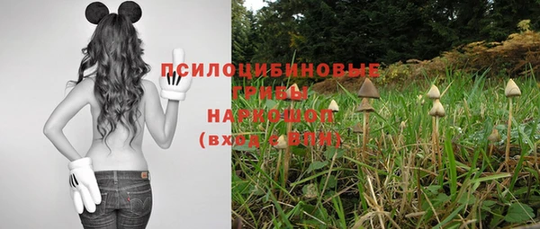крисы Белоозёрский
