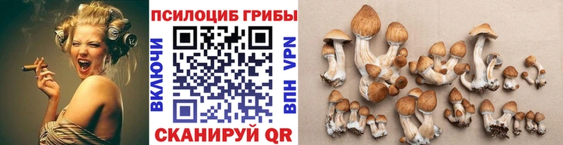 Псилоцибиновые грибы Magic Shrooms  Шарья 